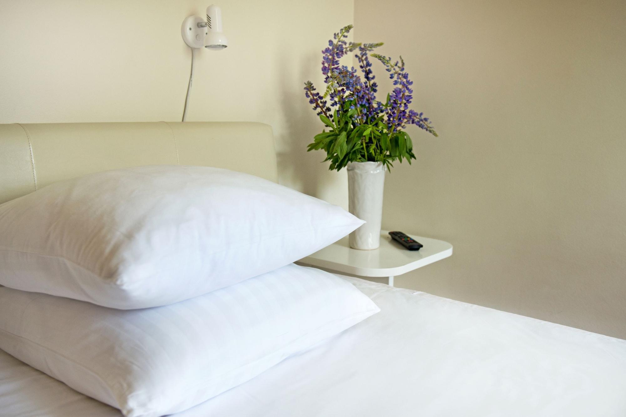 Best Baltic Hotel パランガ エクステリア 写真