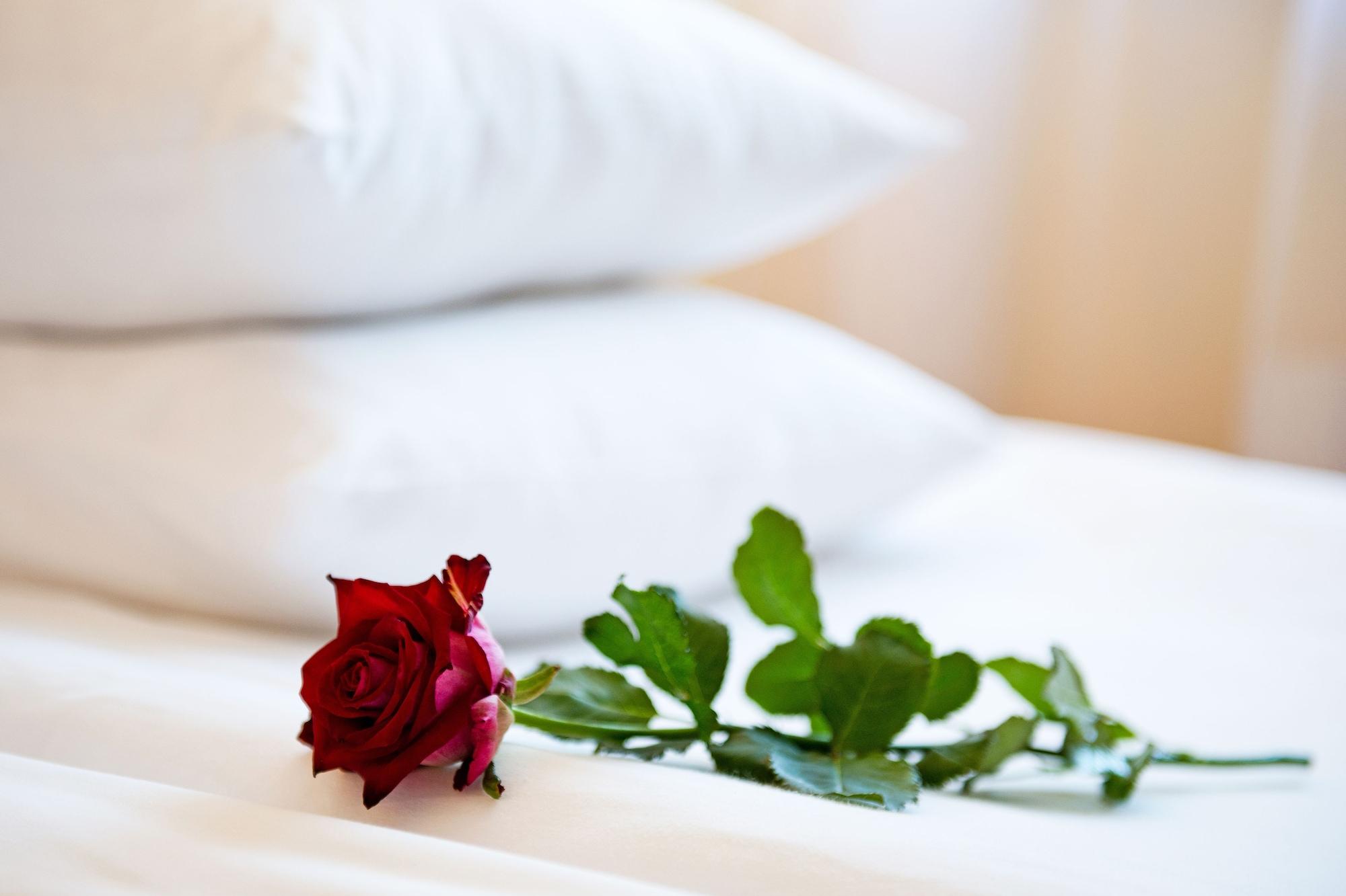 Best Baltic Hotel パランガ エクステリア 写真
