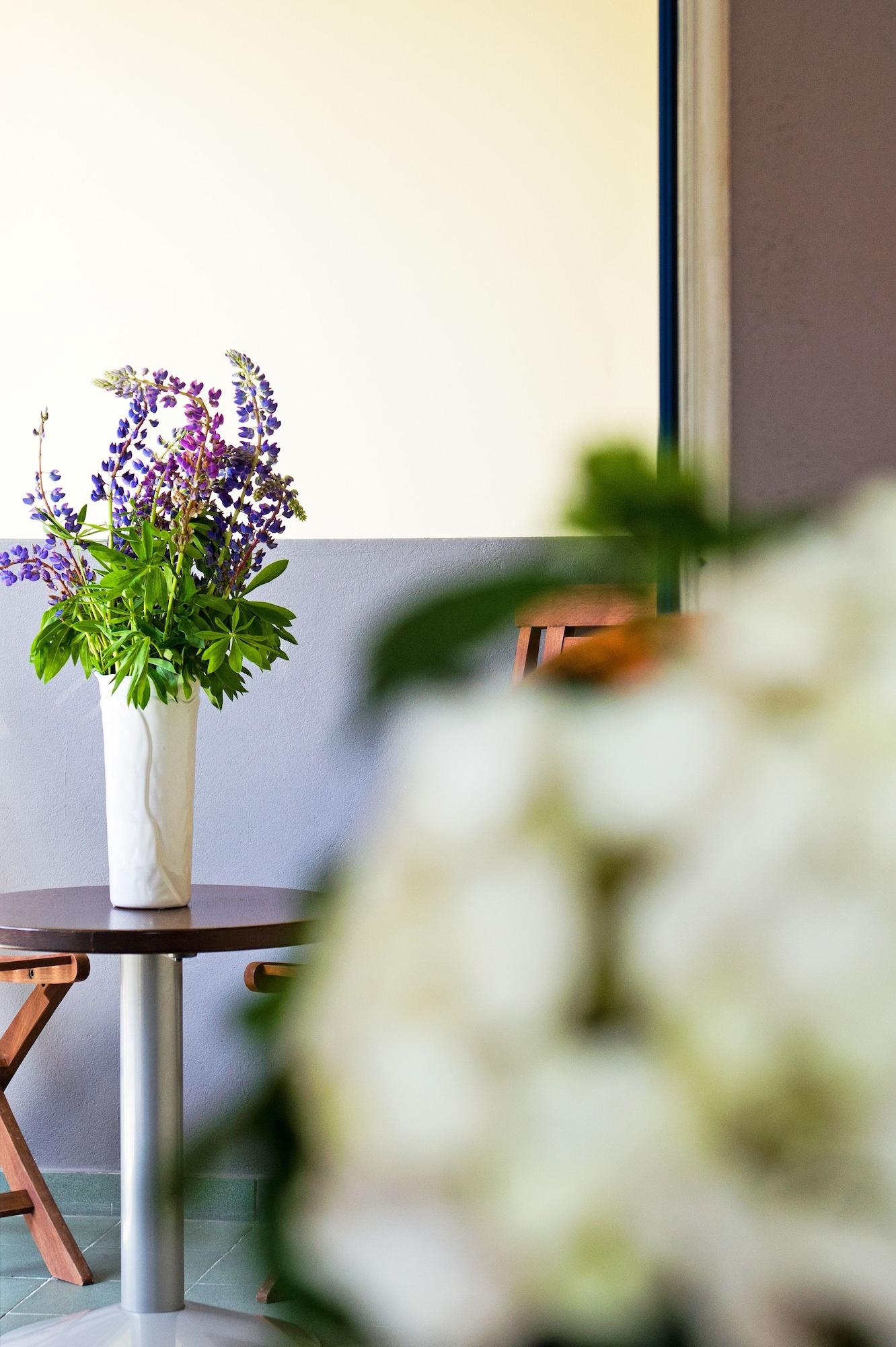 Best Baltic Hotel パランガ エクステリア 写真